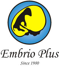 Embro
